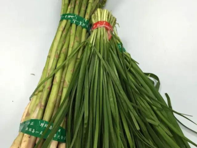 糖心LOGO免费带绑蔬菜